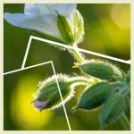 Klik op de afbeelding om de link te volgen