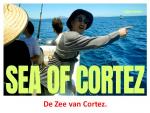 Klik op de afbeelding om de link te volgen