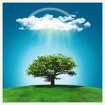 Klik op de afbeelding om de link te volgen