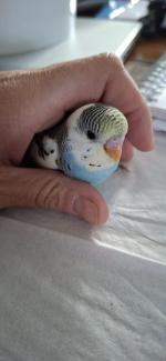 Klik op de afbeelding om de link te volgen