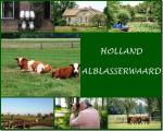 Klik op de afbeelding om de link te volgen