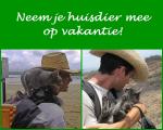 Klik op de afbeelding om de link te volgen