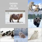 Klik op de afbeelding om de link te volgen